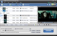 AnyMP4 DVD Converter screenshot